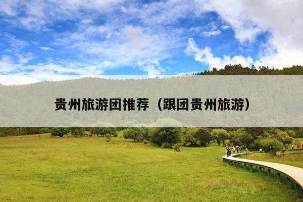 贵州旅游团推荐（跟团贵州旅游）