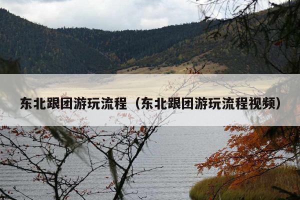 东北跟团游玩流程（东北跟团游玩流程视频）
