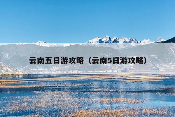 云南五日游攻略（云南5日游攻略）