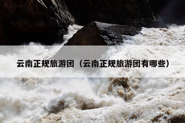 云南正规旅游团（云南正规旅游团有哪些）