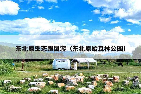 东北原生态跟团游（东北原始森林公园）