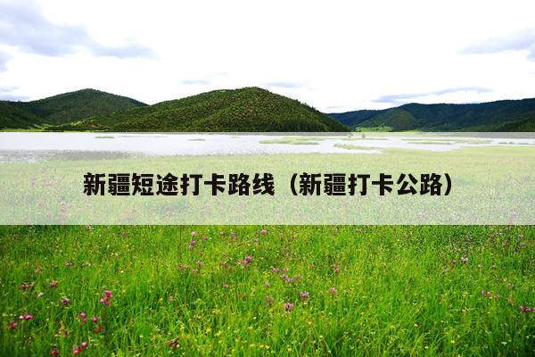 新疆短途打卡路线（新疆打卡公路）