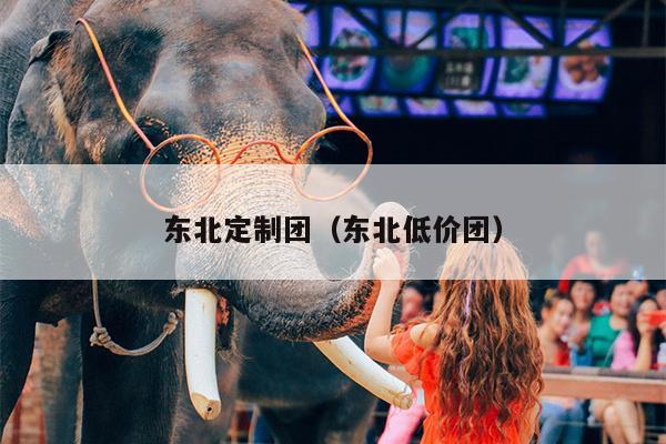 东北定制团（东北低价团）