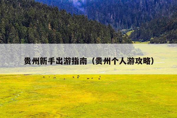 贵州新手出游指南（贵州个人游攻略）