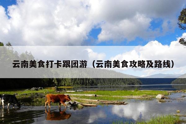 云南美食打卡跟团游（云南美食攻略及路线）