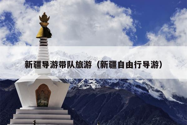 新疆导游带队旅游（新疆自由行导游）
