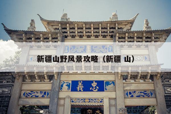 新疆山野风景攻略（新疆 山）