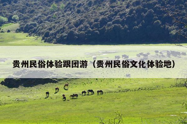 贵州民俗体验跟团游（贵州民俗文化体验地）