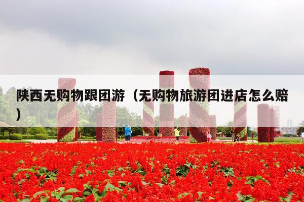 陕西无购物跟团游（无购物旅游团进店怎么赔）