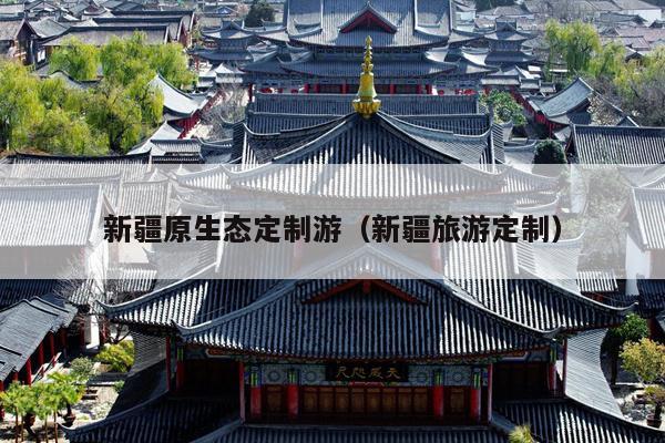 新疆原生态定制游（新疆旅游定制）