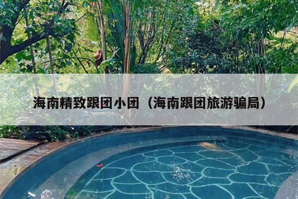 海南精致跟团小团(海南跟团旅游骗局)