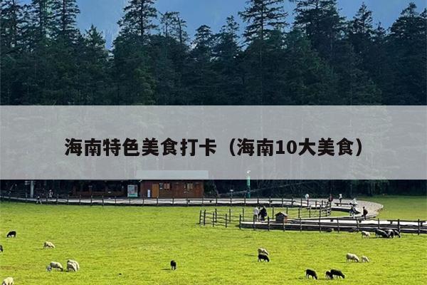 海南特色美食打卡（海南10大美食）
