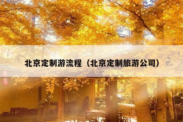 北京定制游流程（北京定制旅游公司）