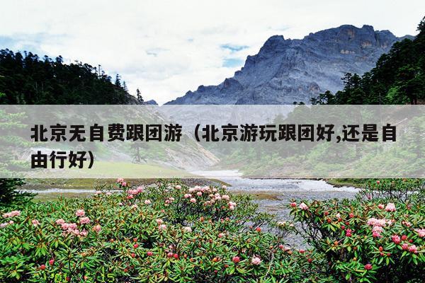 北京无自费跟团游（北京游玩跟团好,还是自由行好）