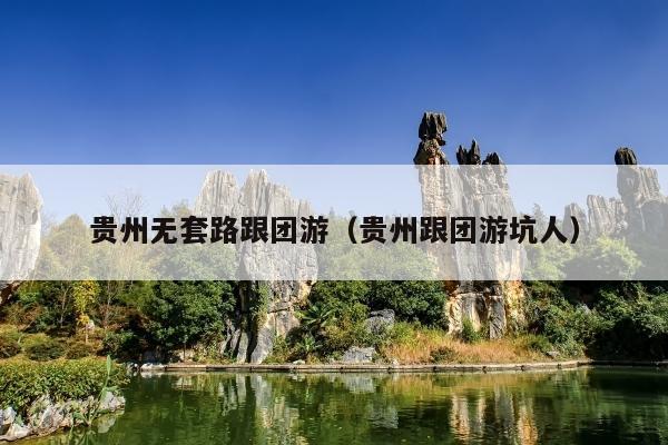 贵州无套路跟团游（贵州跟团游坑人）