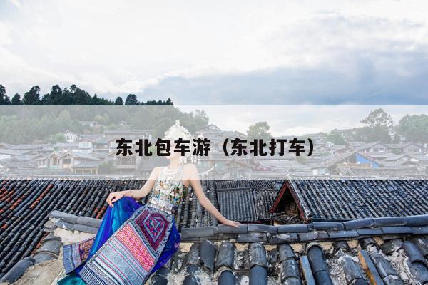 东北包车游（东北打车）