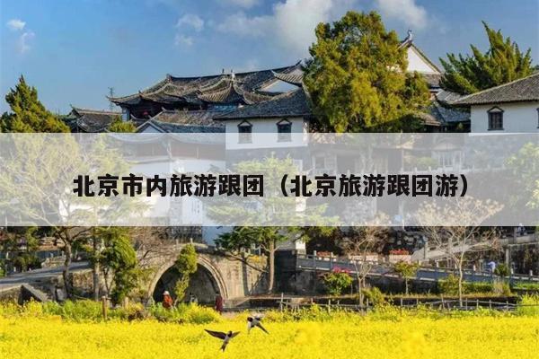 北京市内旅游跟团（北京旅游跟团游）