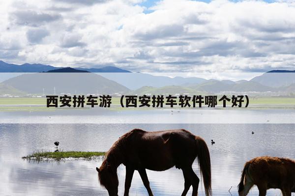 西安拼车游（西安拼车软件哪个好）