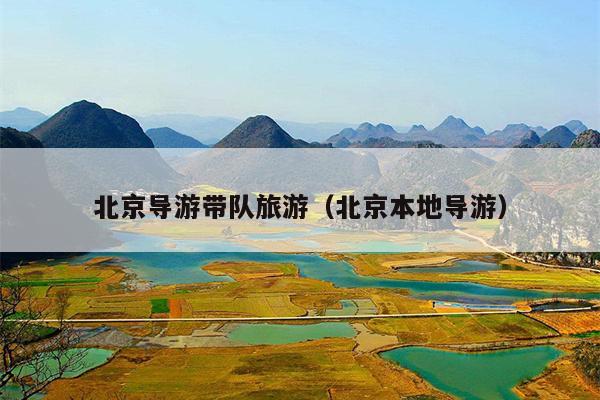 北京导游带队旅游（北京本地导游）