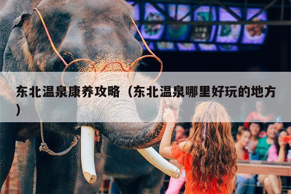 东北温泉康养攻略（东北温泉哪里好玩的地方）