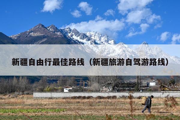 新疆自由行最佳路线（新疆旅游自驾游路线）