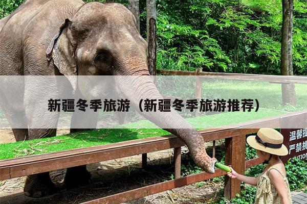 新疆冬季旅游（新疆冬季旅游推荐）
