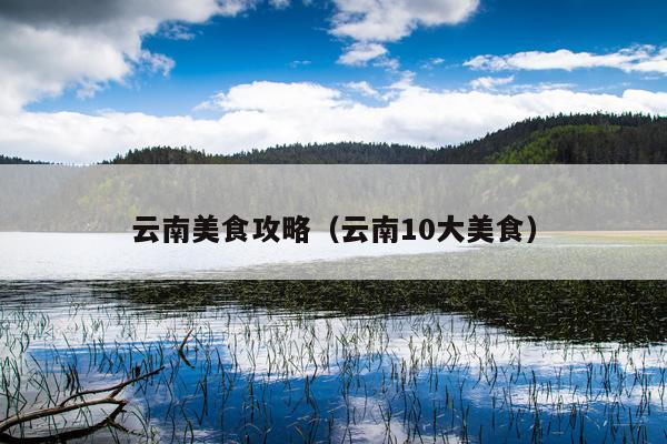 云南美食攻略（云南10大美食）