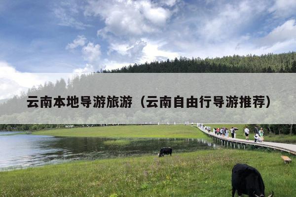 云南本地导游旅游（云南自由行导游推荐）