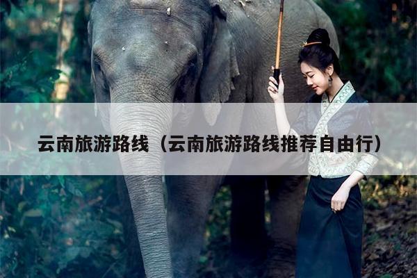 云南旅游路线（云南旅游路线推荐自由行）