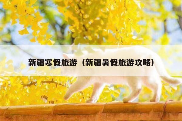 新疆寒假旅游（新疆暑假旅游攻略）