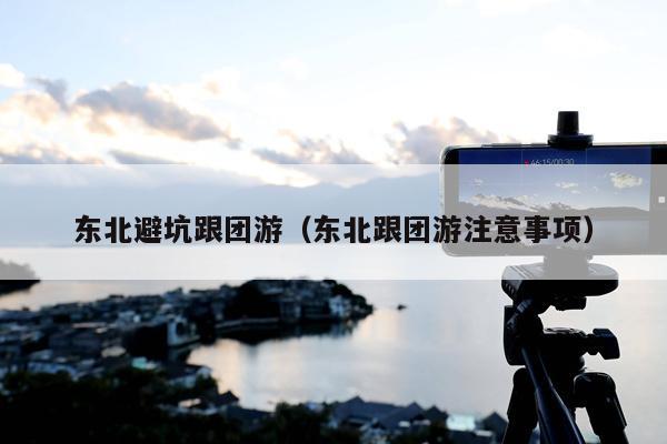 东北避坑跟团游（东北跟团游注意事项）