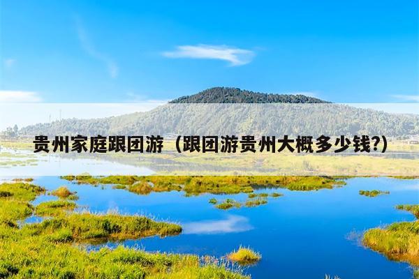 贵州家庭跟团游（跟团游贵州大概多少钱?）