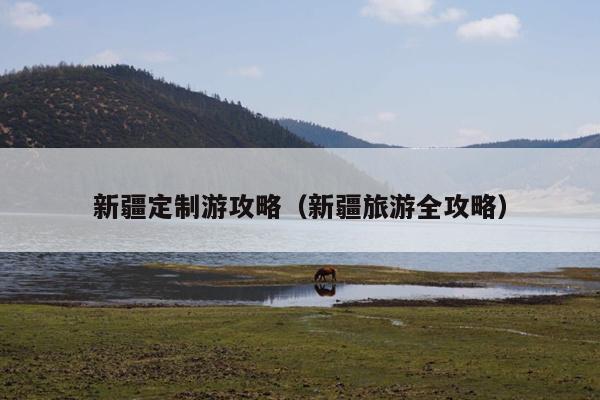 新疆定制游攻略（新疆旅游全攻略）