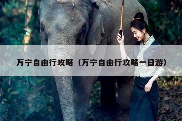万宁自由行攻略（万宁自由行攻略一日游）