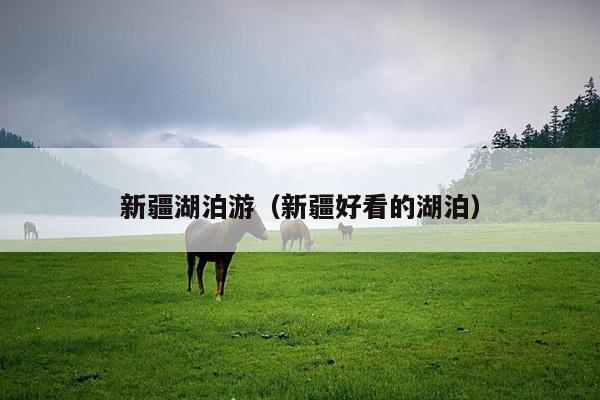 新疆湖泊游（新疆好看的湖泊）