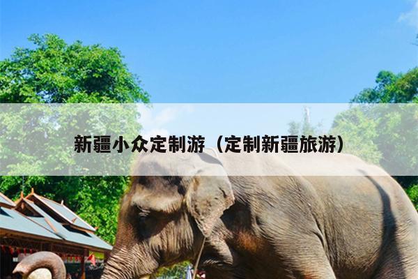 新疆小众定制游（定制新疆旅游）
