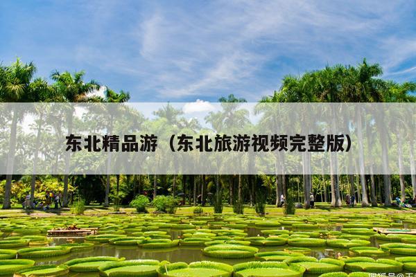东北精品游（东北旅游视频完整版）