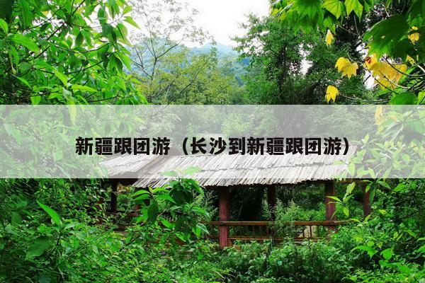 新疆跟团游（长沙到新疆跟团游）
