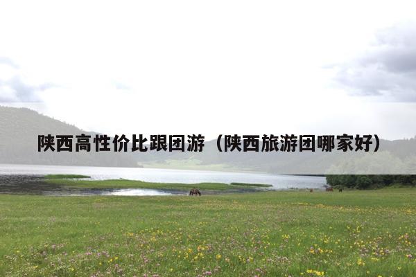 陕西高性价比跟团游（陕西旅游团哪家好）