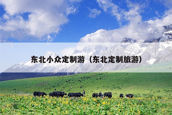 东北小众定制游（东北定制旅游）