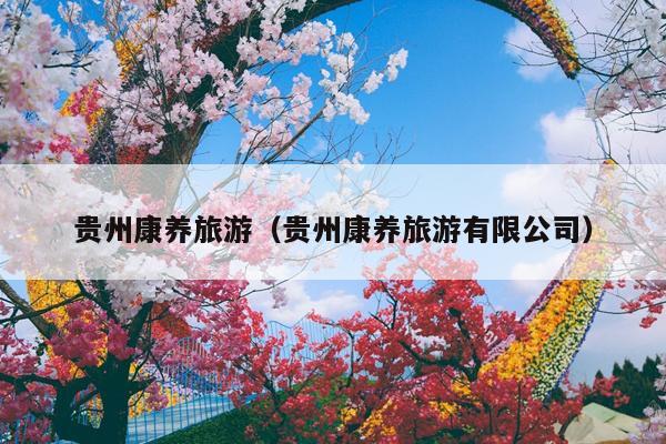 贵州康养旅游（贵州康养旅游有限公司）