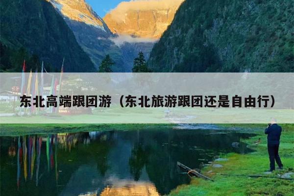 东北高端跟团游（东北旅游跟团还是自由行）