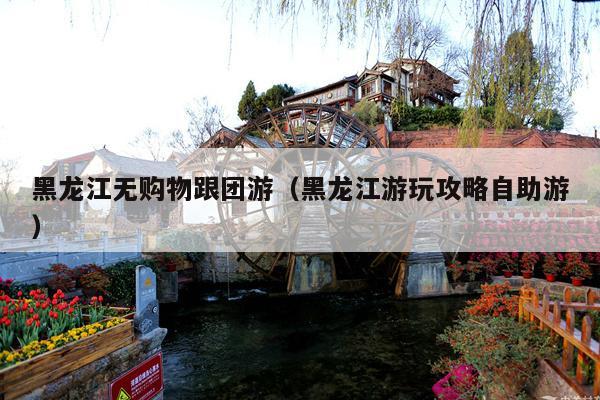 黑龙江无购物跟团游（黑龙江游玩攻略自助游）