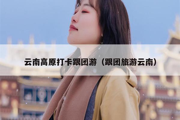 云南高原打卡跟团游（跟团旅游云南）