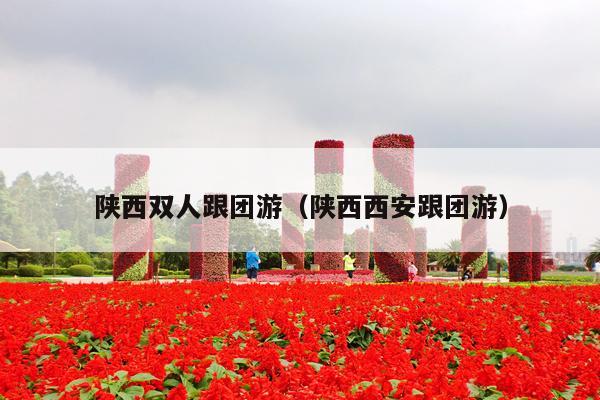 陕西双人跟团游（陕西西安跟团游）