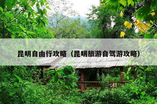 昆明自由行攻略（昆明旅游自驾游攻略）