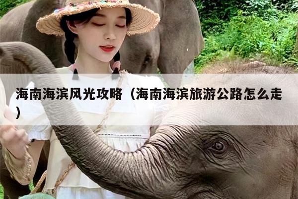 海南海滨风光攻略（海南海滨旅游公路怎么走）