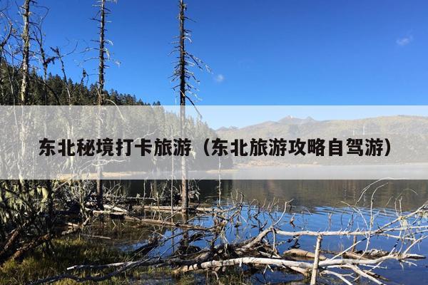 东北秘境打卡旅游（东北旅游攻略自驾游）