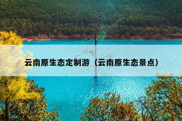 云南原生态定制游（云南原生态景点）