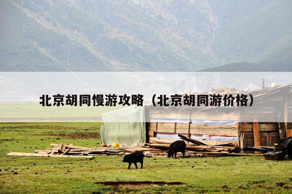 北京胡同慢游攻略（北京胡同游价格）